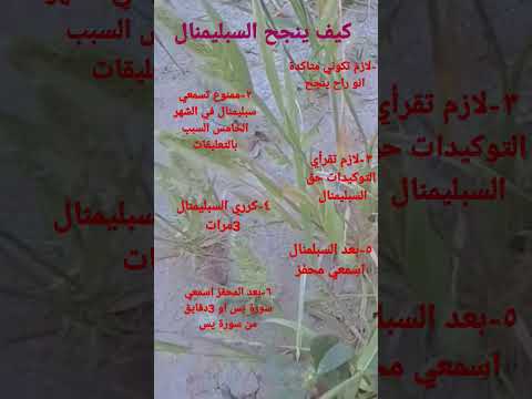 كيف ينجح السبليمنال