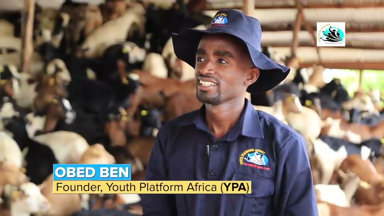 Инвестиционный проект Mighty YPA Goats.