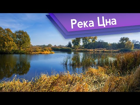 Реки Подмосковья. Река Цна в Егорьевском районе Московской области.
