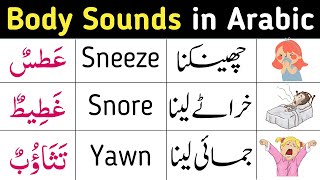 20 Body Sounds in Arabic with English and Urdu Translation