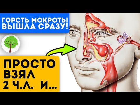 Video: Розмарин картошкасын кантип бышырууга болот