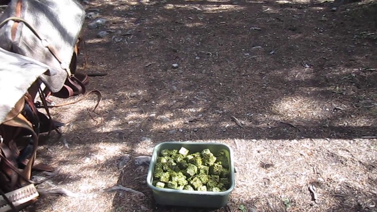 We found alfalfa cubes