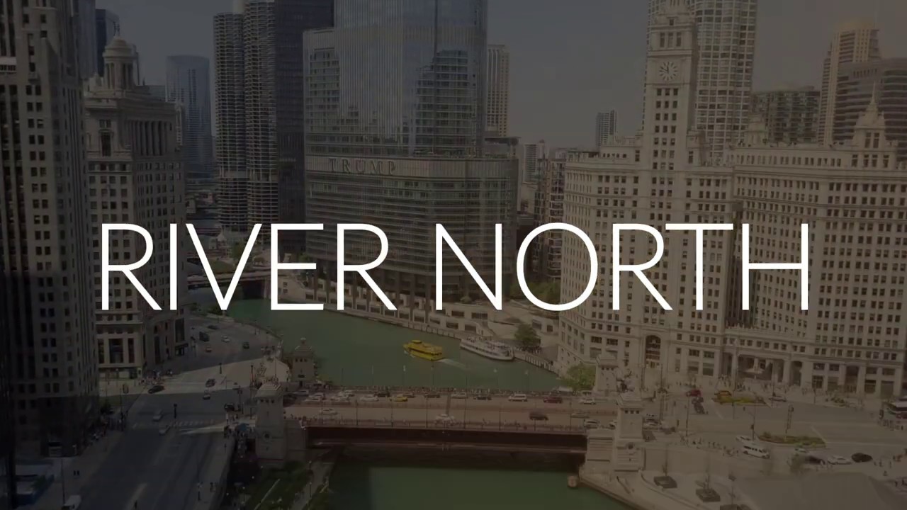 403 W Wabash Ave Unit 17C Chicago, IL