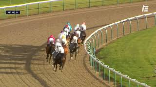 Vidéo de la course PMU PRIX DU PONT DU CANAL DES DRUIDES