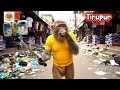 திருப்பூர் மாநகராட்சி முழுவதும் குப்பை மலை #aivideo #2025shorts