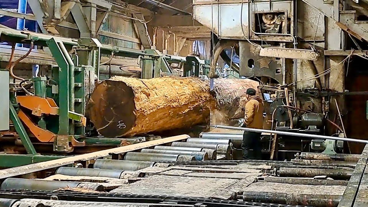 Sawing a Massive 12x26 Douglas Fir Timber | 60-Foot Log Cut with a Solid Tooth Saw