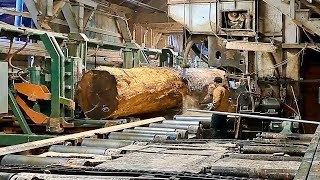 Download Lagu Sawing a Massive 12x26 Douglas Fir Timber | 60-Foot Log Cut with a Solid Tooth Saw MP3