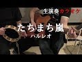 【たちまち嵐】ハルレオ 生演奏カラオケ