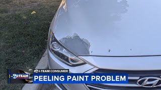 Sports Performance Chicago-area car owner unable to get extended warranty for peeling paint problem