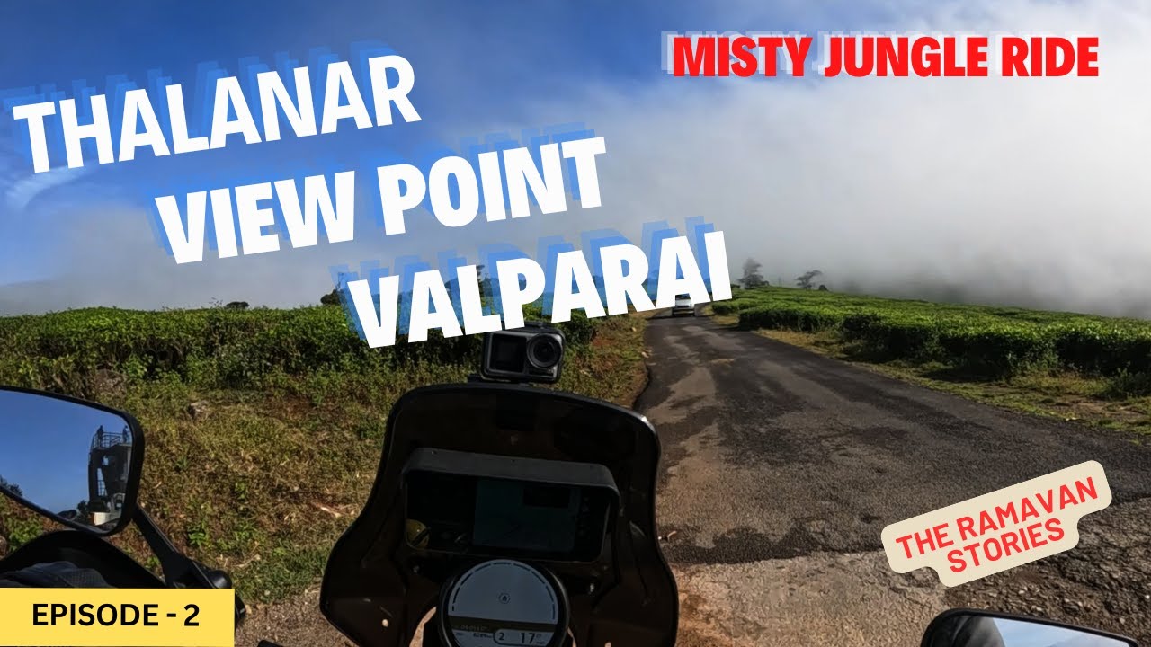 🥰Thalanar View Point 😱Dangerous Misty🌫 Forest Route in Valparai 😟- "BE CAUTIOUS😬"
