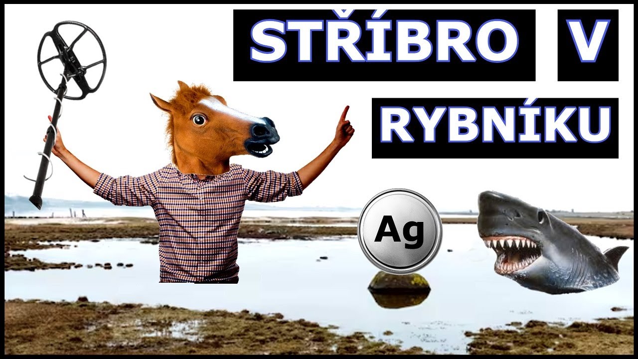 Detektorová premiéra - stříbro v rybníce