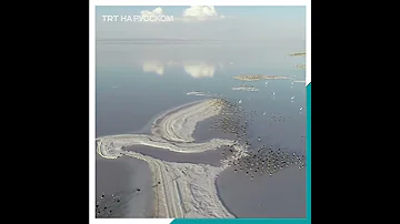 На Соленом озере в Турции живут 30 тысяч фламинго