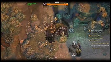 Tree of savior Cleric, Krivis 2, sadhu 2, druid test
