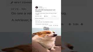 you're a dog