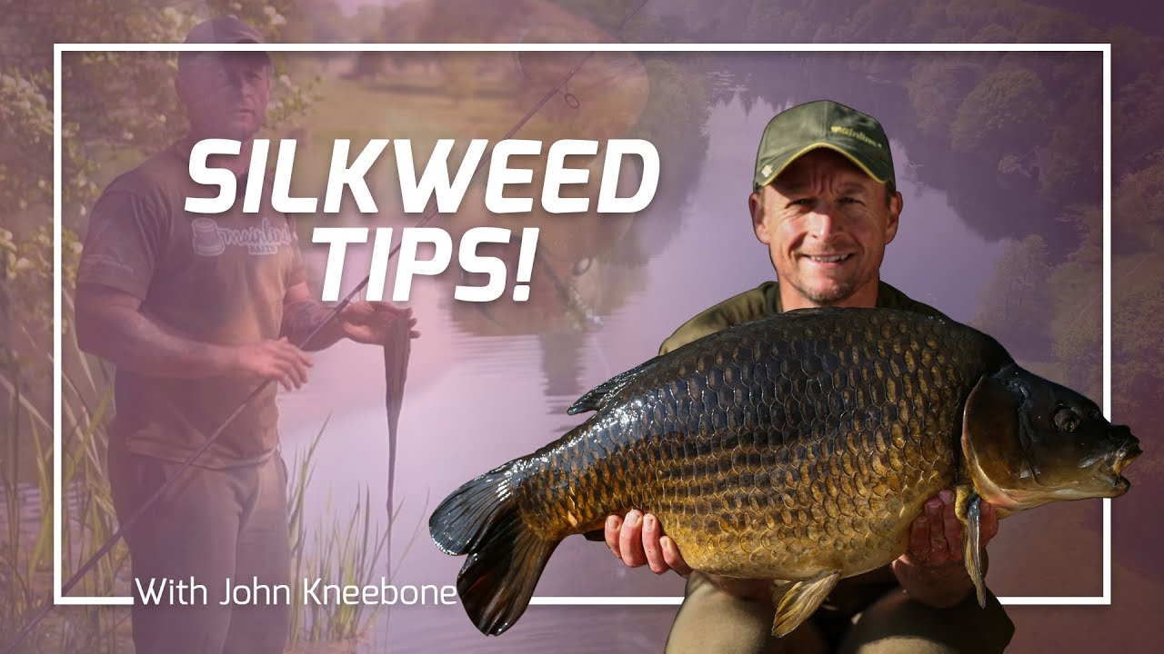 Mainline Baits Carp Fishing TV - Silkweed Tips!