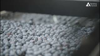 Spreader in ASM sorter – how it works?