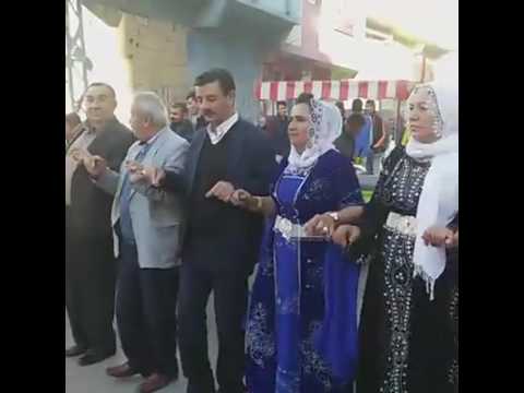 Mamxuran aşireti |Gaziantep düğünü 19.11.2016