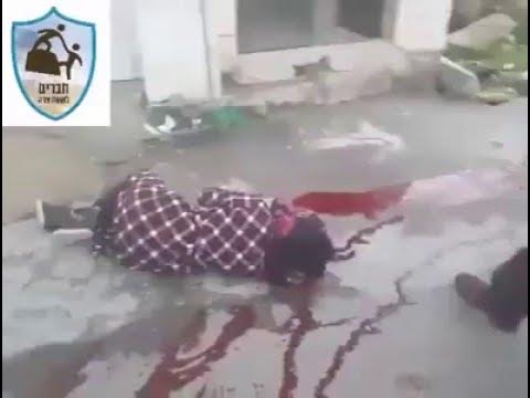 +18 *GRAPHIC* Palestinian girl shot and left bleeding to death by IOF soldiers