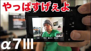 【カメラ】α7Ⅲで撮影試して思った事！圧倒的な高感度撮影性能と動画の美しさに感動！