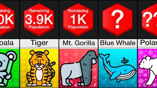 Comparison: Endangered Animals
