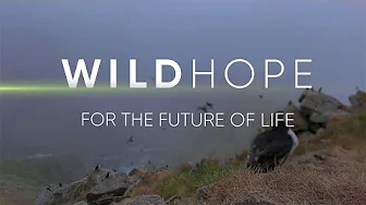 New Season Sizzle | WILD HOPE