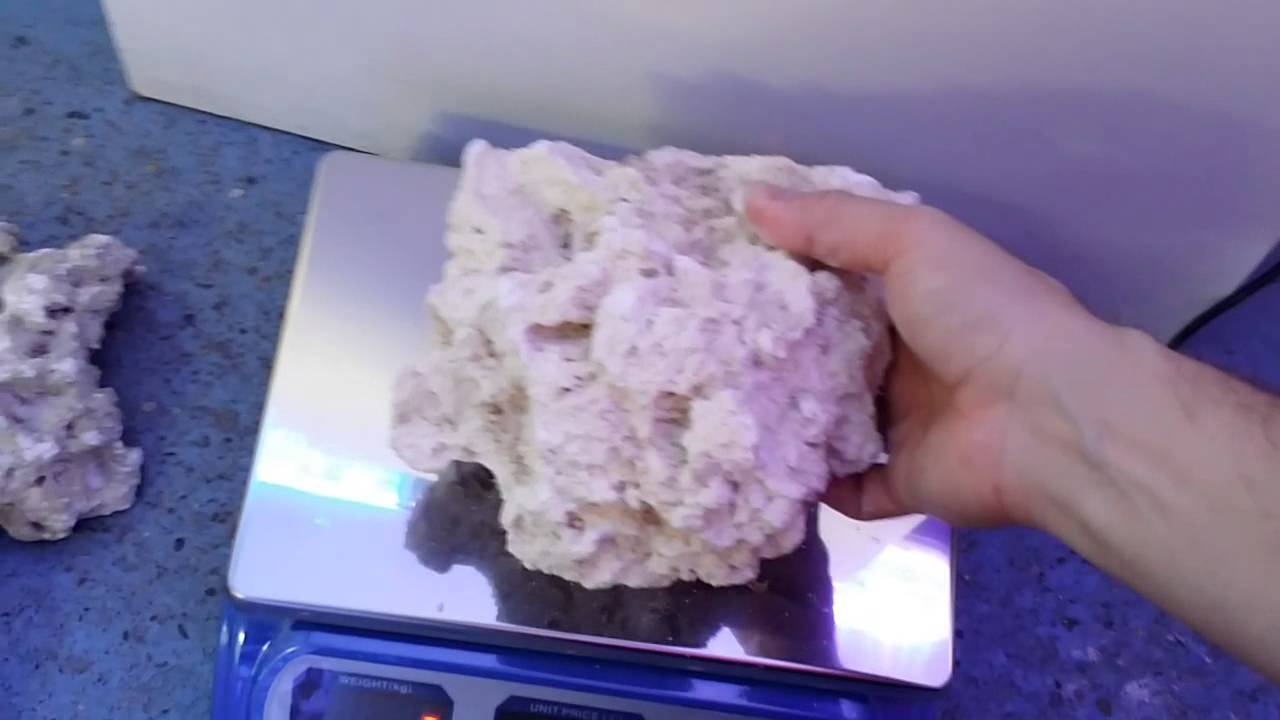 Marco rock prime cut plates coralpassion.co.uk YouTube