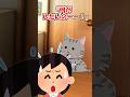 【2ch】ウチの猫が何度も部屋に来るので…【アニマル】 #Shorts