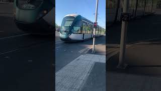 NET Tram 234 George Africanus To Clifton South