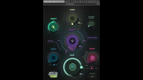 InfectedMushroomPusher01