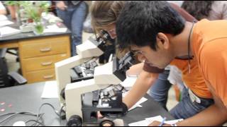 Academic Excellence at Oxford College