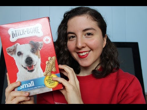ASMR ROLE PLAY | PET STORE SERVICE (ENGLISH)
