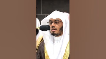 تلاوة كرديه لخواتيم سورة الشعراء #ياسر_الدوسري #المصحف #الحرم_المكي #الرحمن #رمضان