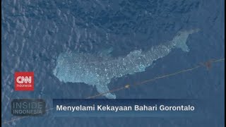 Menyelami Kekayaan Bahari Gorontalo