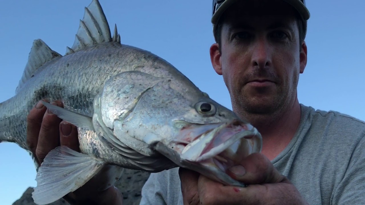 Cairns Fishing land based YouTube