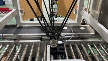 Tray Loading Solution for Soap by Delta Robot(spider robot), according to different shapes