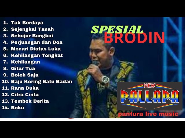 BRODIN 2023 FULL ALBUM HITS_NEW PALLAPA (NO IKLAN) class=