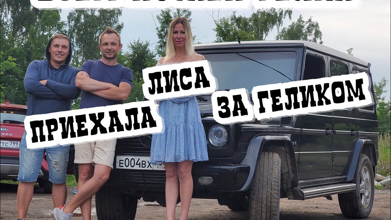 Нива жекича дубровского