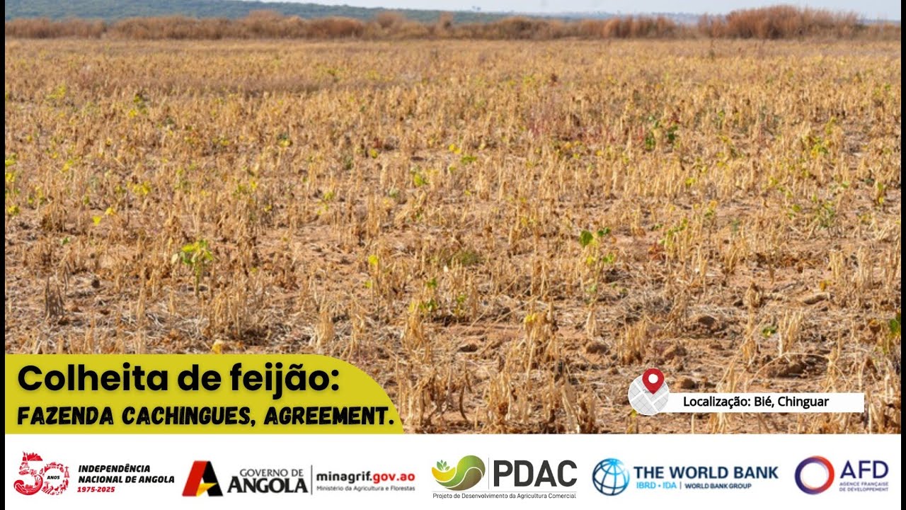 Colheita de Feijão: Fazenda  Cachingues, Agreement