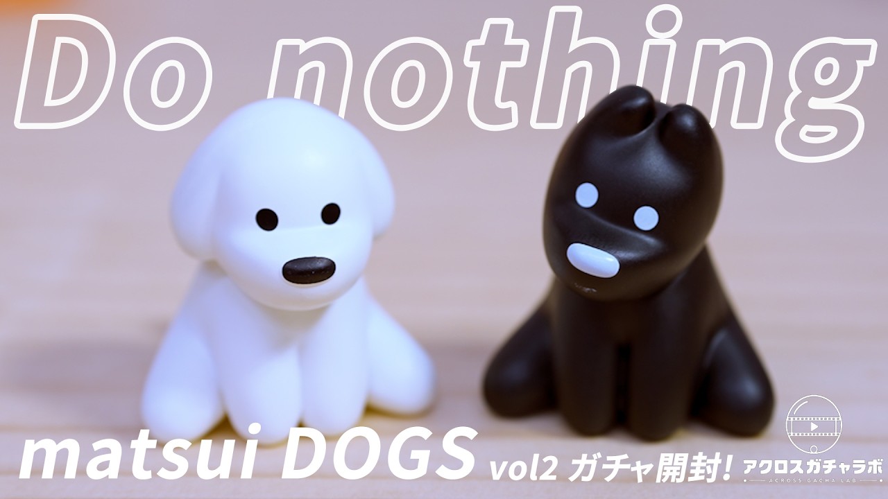 ThinkingDogs出品しているもの全て(写真に乗り切ってないです) matsui DOGS】今回はワンちゃんのガチャ開封！ - YouTube