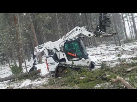 bobcat cutting and skidding logs