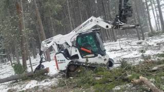 bobcat cutting and skidding logs