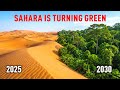 The Sahara Is Turning Green—Is Earth Repeating the Past?