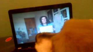 Chikki Viendo Video De Alynana