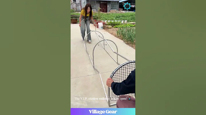 Who Needs a Coop When You Have a CHICKEN ACCORDION?! 😂 This is the Coolest Thing Ever! #chicken