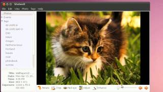 Shotwell Improved - Ubuntu Maverick Movies