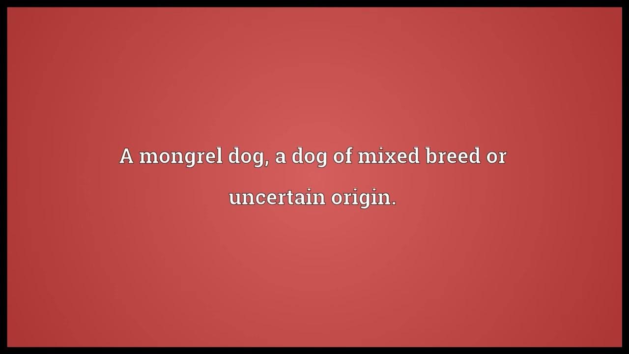 Mutt Meaning YouTube