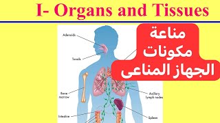 معلومة مناعية مختصرة (الجهاز المناعى) The Immune System