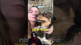 Женщина спала с собакой  | ЧАСТЬ 3 #захватывающиеистории #фильм #фильмы #нарезки