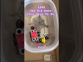 LEGO Bulk - The Final First Sort