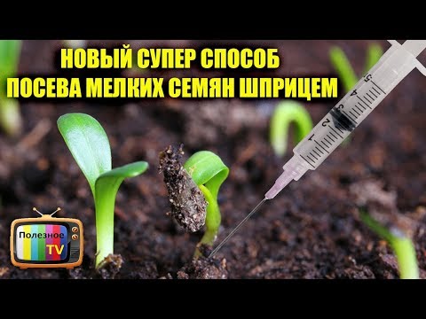 НОВЫЙ СУПЕР СПОСОБ ПОСЕВА МЕЛКИХ СЕМЯН ШПРИЦЕМ